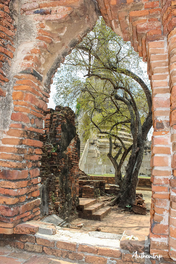 ayutthaya temple ruines