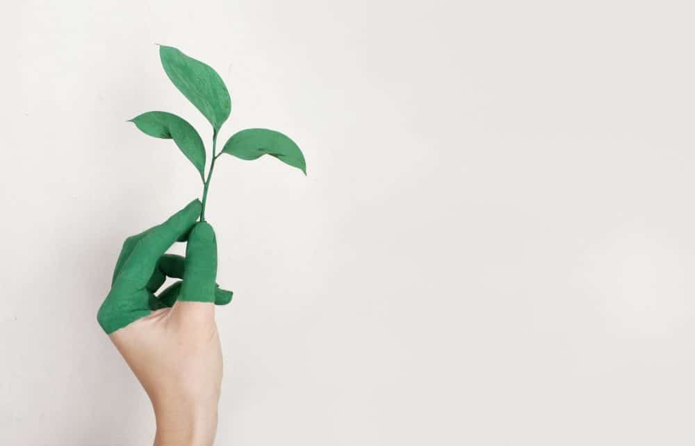 Greenwashing tourisme