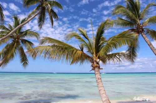 Isla Saona république dominicaine