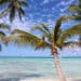 Isla Saona république dominicaine