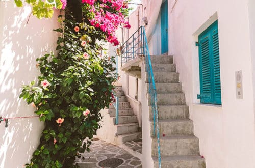Parikia, ruelle fleurs