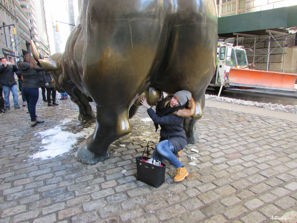 taureau de Wall Street new york