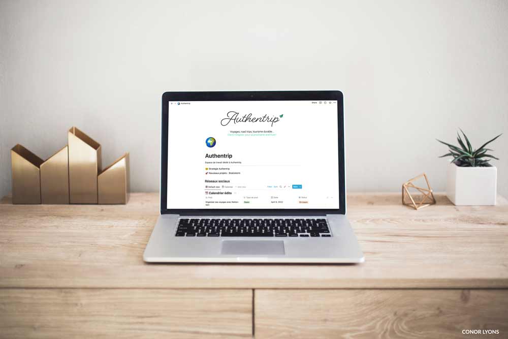Notion organiser voyages