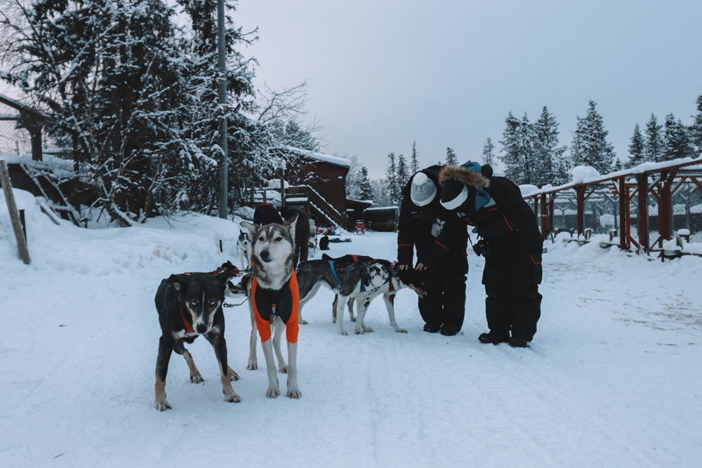 kiruna white trail adventures