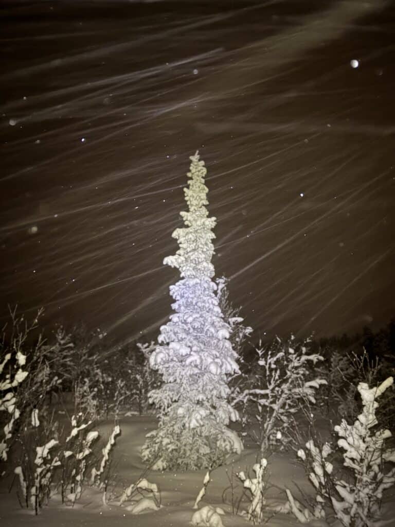 randonnée raquettes nocturne kiruna