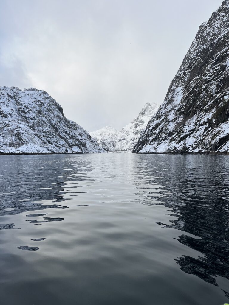 trollfjord lofoten