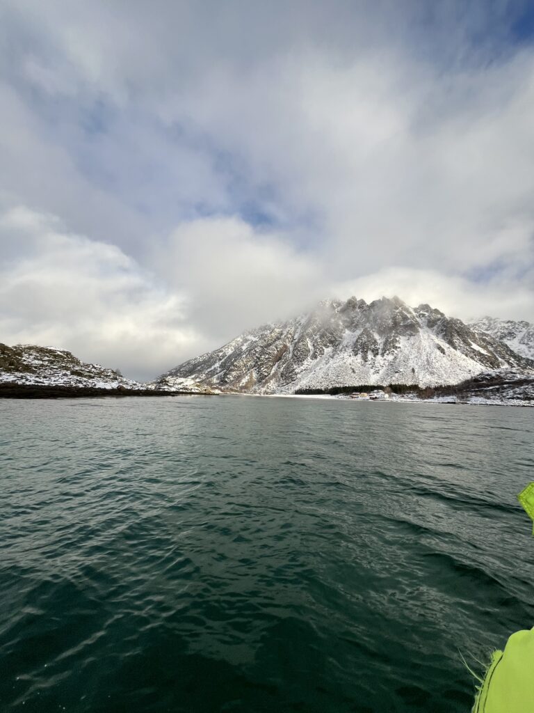 aigles de mer svolvær