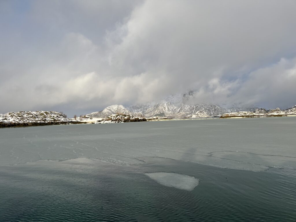 lofoten aigles de mer