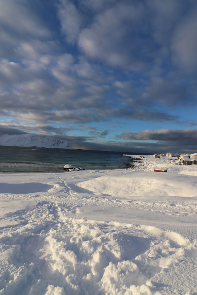 plage lofoten road trip