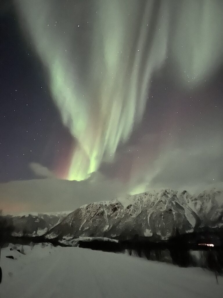 svolvær chasse aux aurores boréales