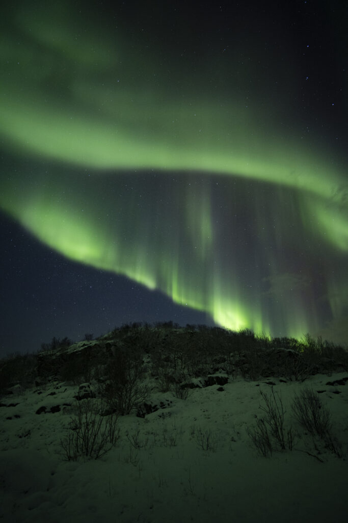 chasse aux aurores boréales discover lofoten