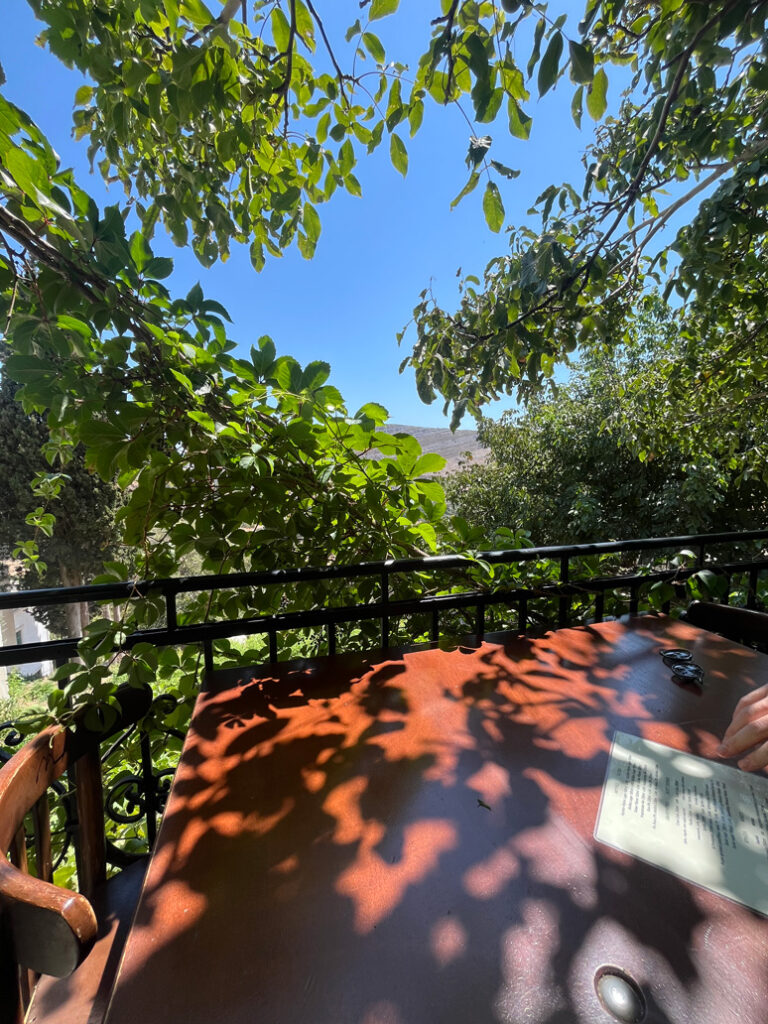 naxos restaurant village