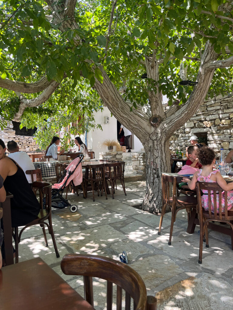 restaurant village naxos