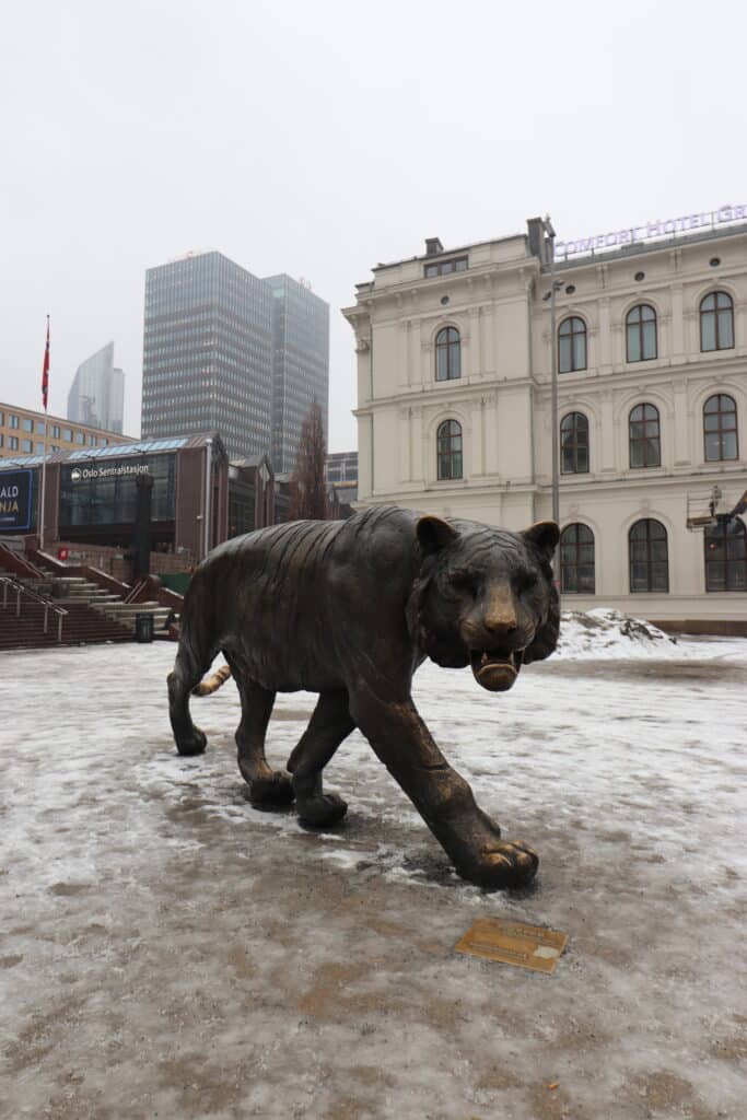 tigre d'Oslo