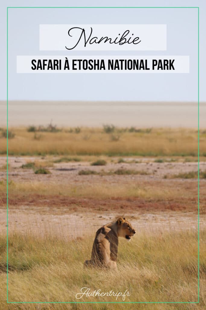 Safari à Etosha National Park