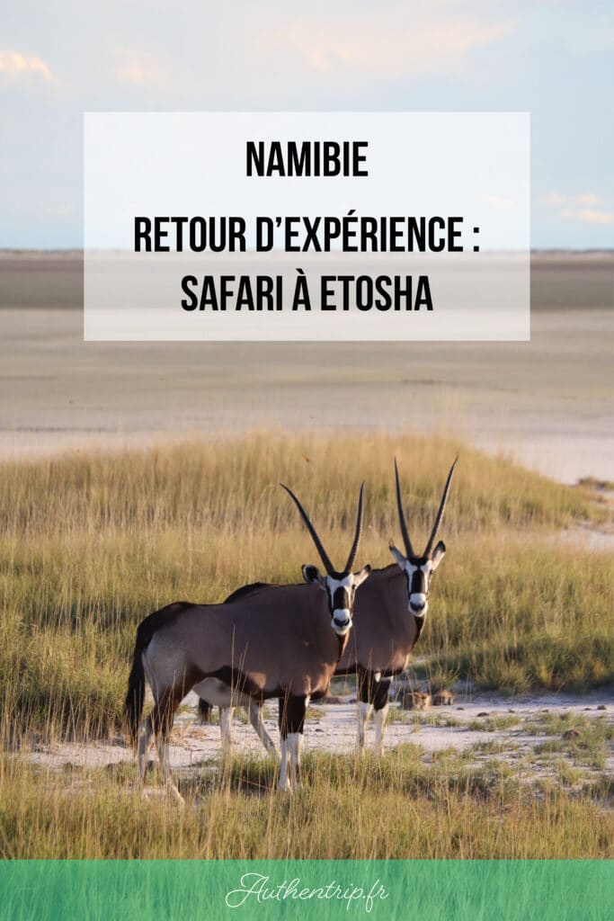 Retour d'expérience : Etosha