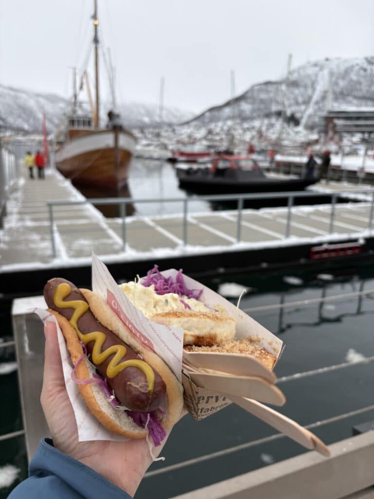 arctic food lab tromso