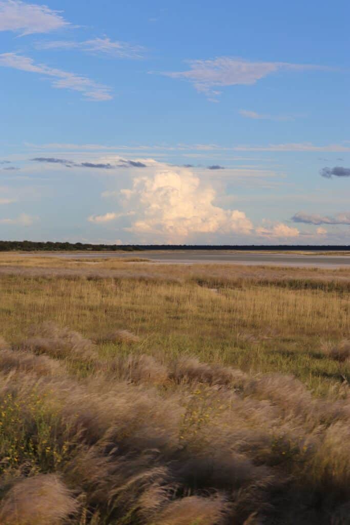 parc etosha