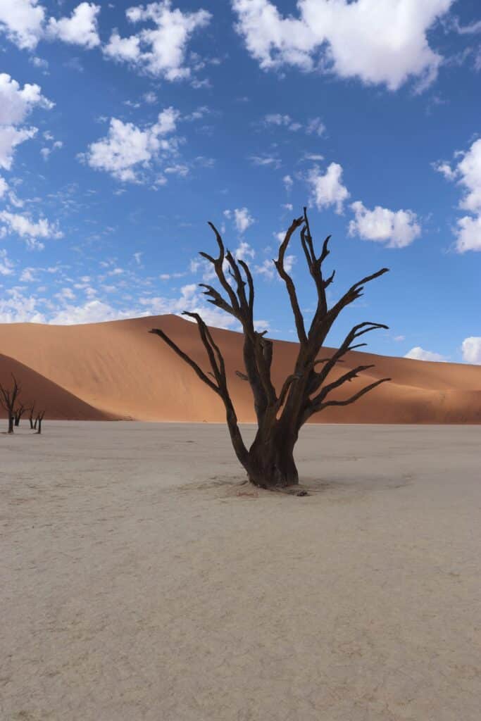 deadvlei