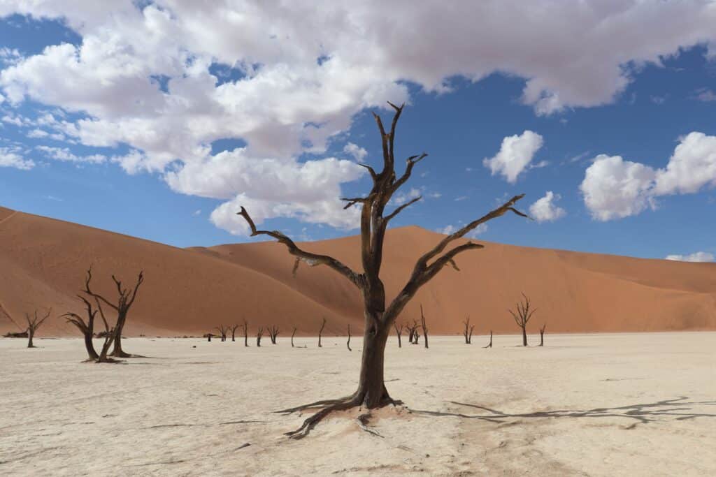 sossusvlei namibie
