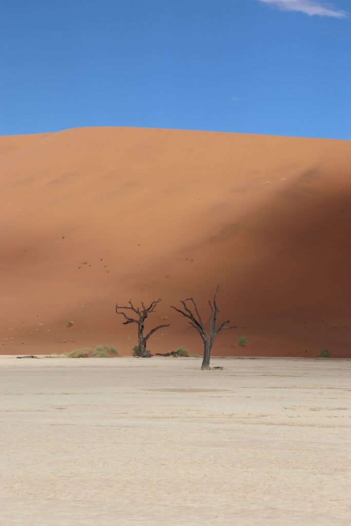 deadvlei namibie