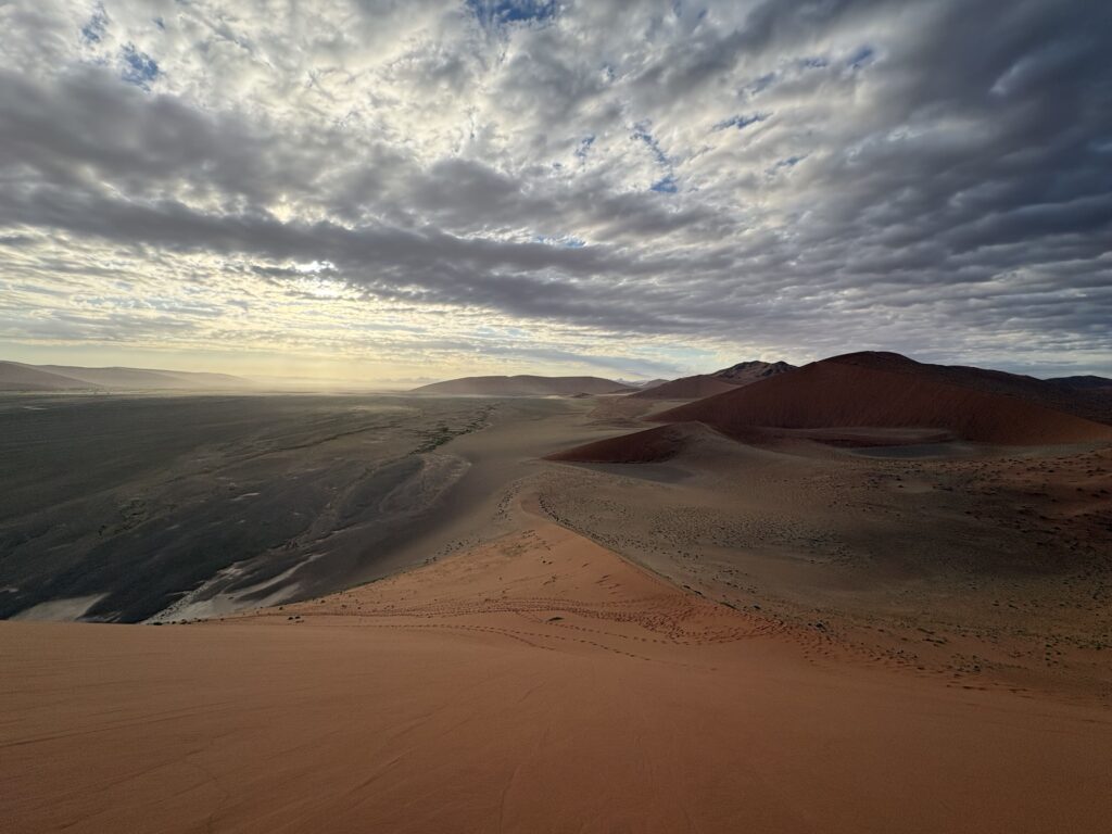 dune 45 paysage