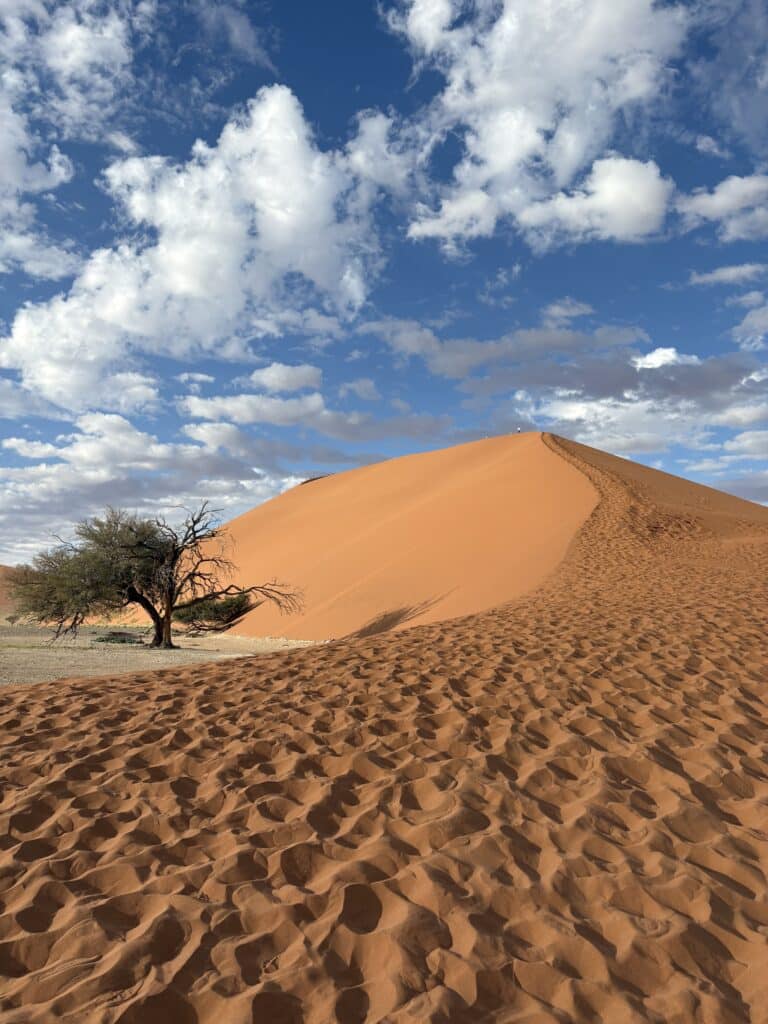 dune 45 namibie