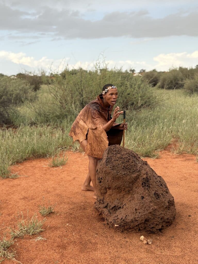 san namibie