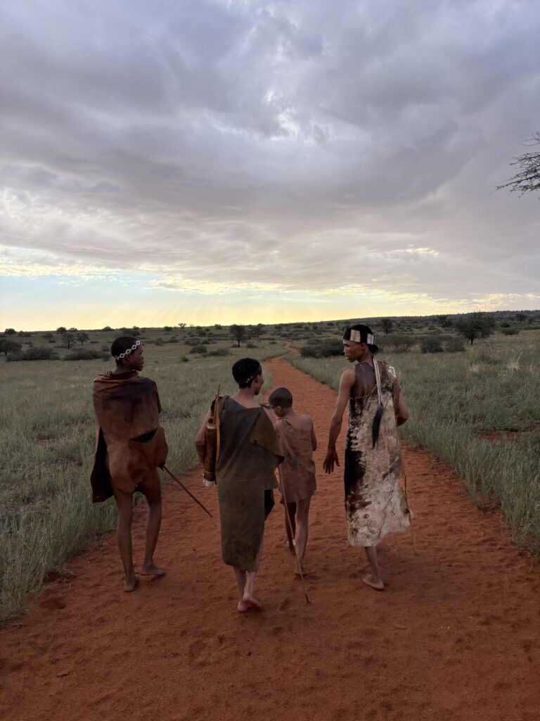 san road trip namibie