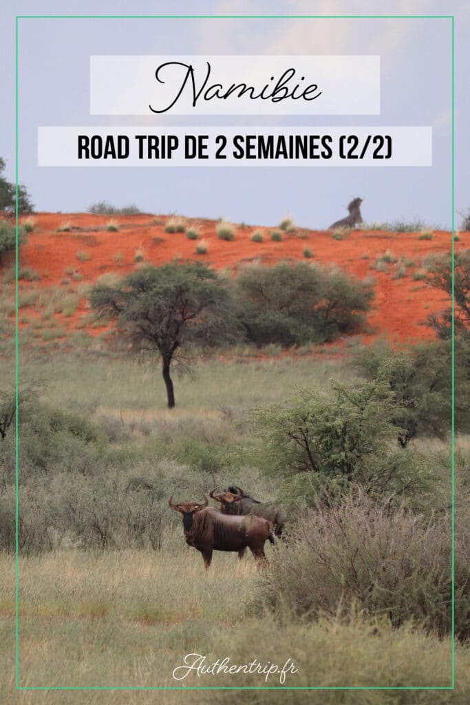 Road trip de 2 semaines en Namibie