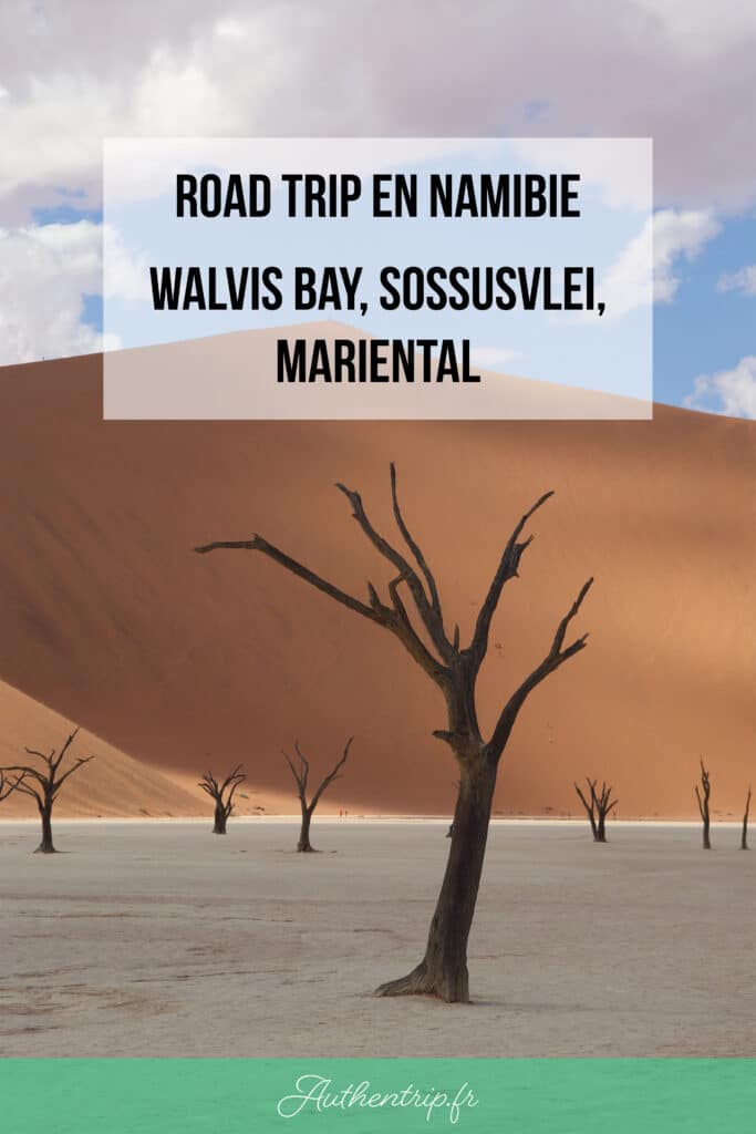 Road trip en Namibie - Walvis Bay et Sossusvlei