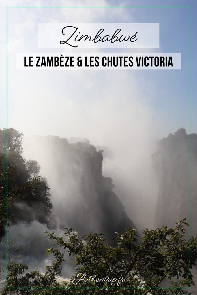 Le Zambèze et les chutes Victoria