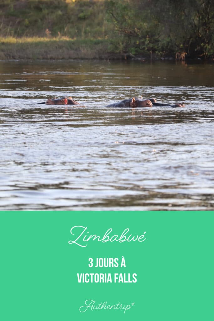 Zimbabwé : 3 jours à Victoria Falls