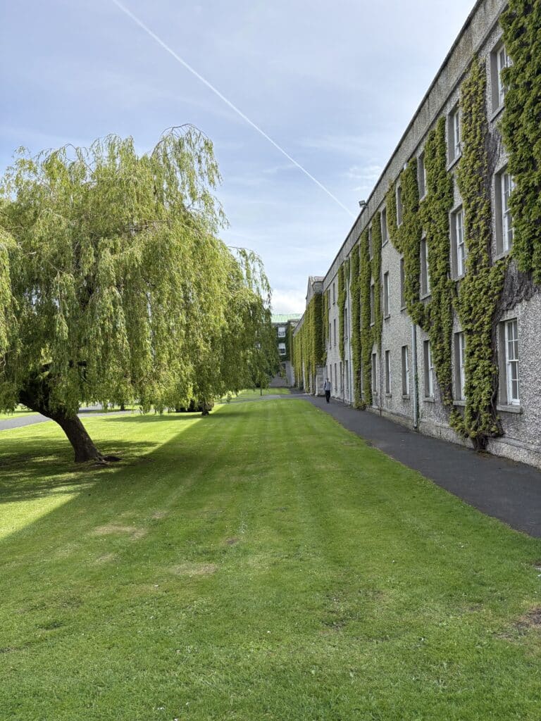 Maynooth irlande
