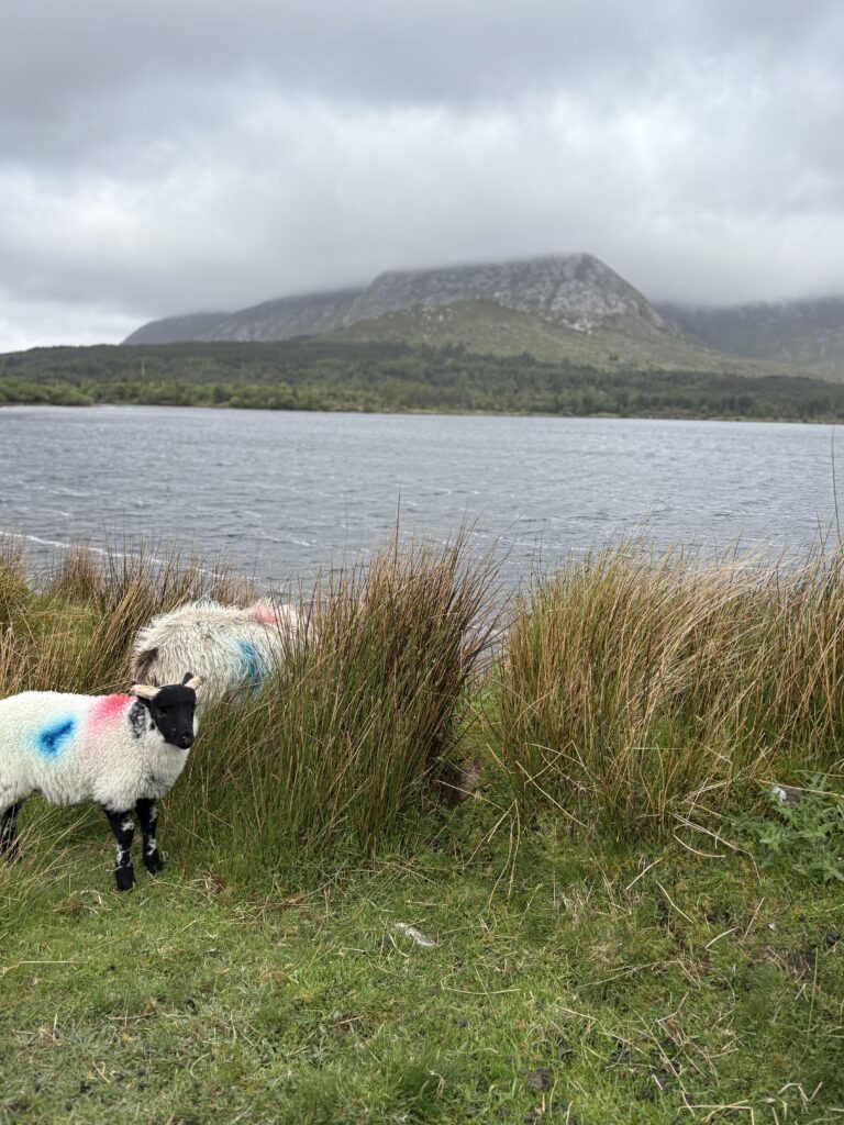 road trip irlande