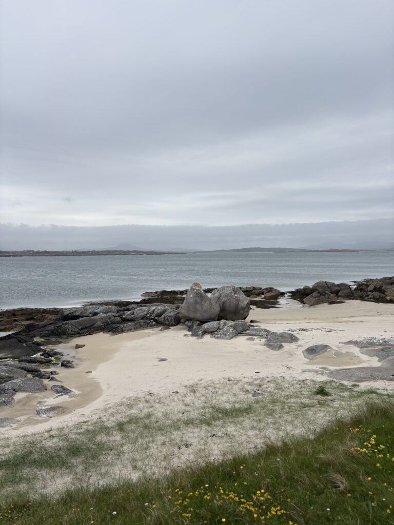 dogs bay connemara