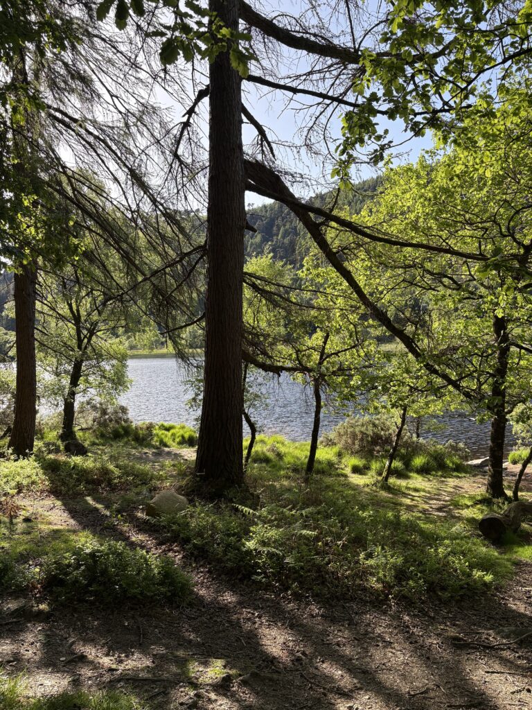 randonnée wicklow